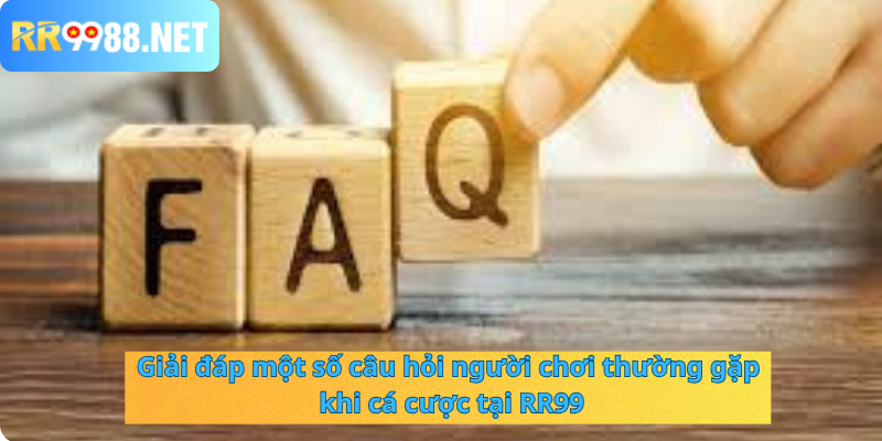 Giải đáp một số câu hỏi người chơi thường gặp khi cá cược tại RR99