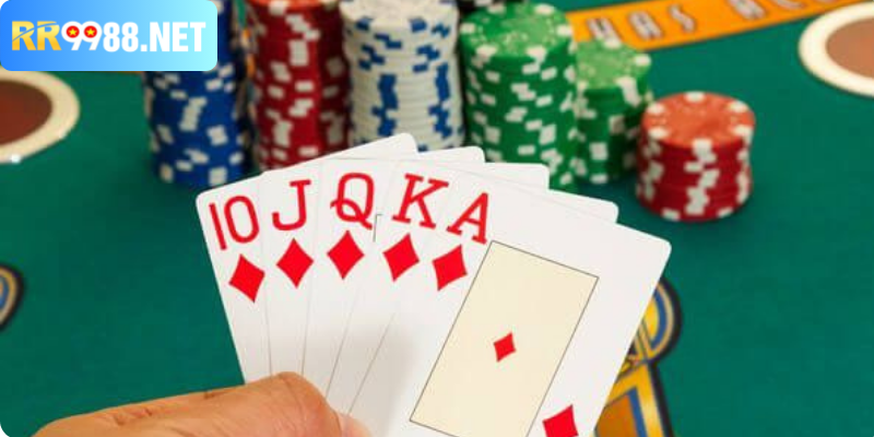 Catte – Khám Phá Và Tận Dụng Vật Phẩm Đỉnh Cao Hiệu Quả