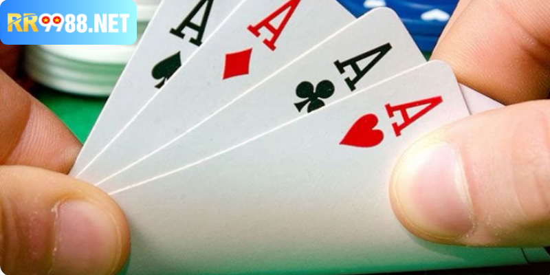 Đôi nét về catte thành viên không thể bỏ qua